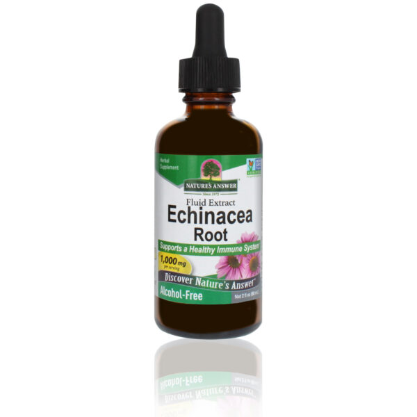 Echinacea extract alcoholvrij 60ml van Nature's Answer