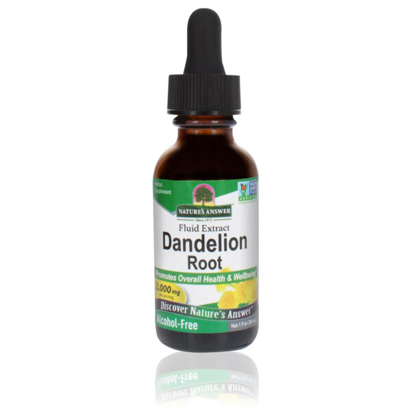 Paardenbloem | Dandelion extract alcoholvrij 30ml