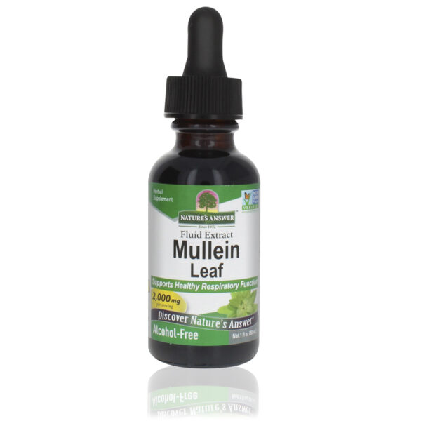 Koningskaars | Mullein extract alcoholvrij 30ml van Nature's Answer